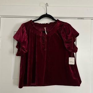 Free People Terese Velvet Top